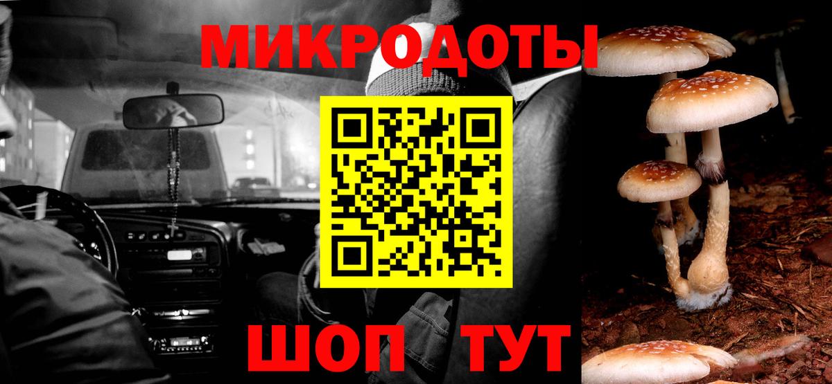 Менделеевск  Псилоцибиновые грибы Cubensis  Псилоцибиновые грибы ЛСД  Вход с VPN 